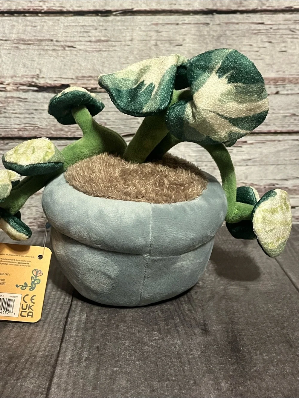 New! greenhouse by RUSS pothos planter “Chloe”